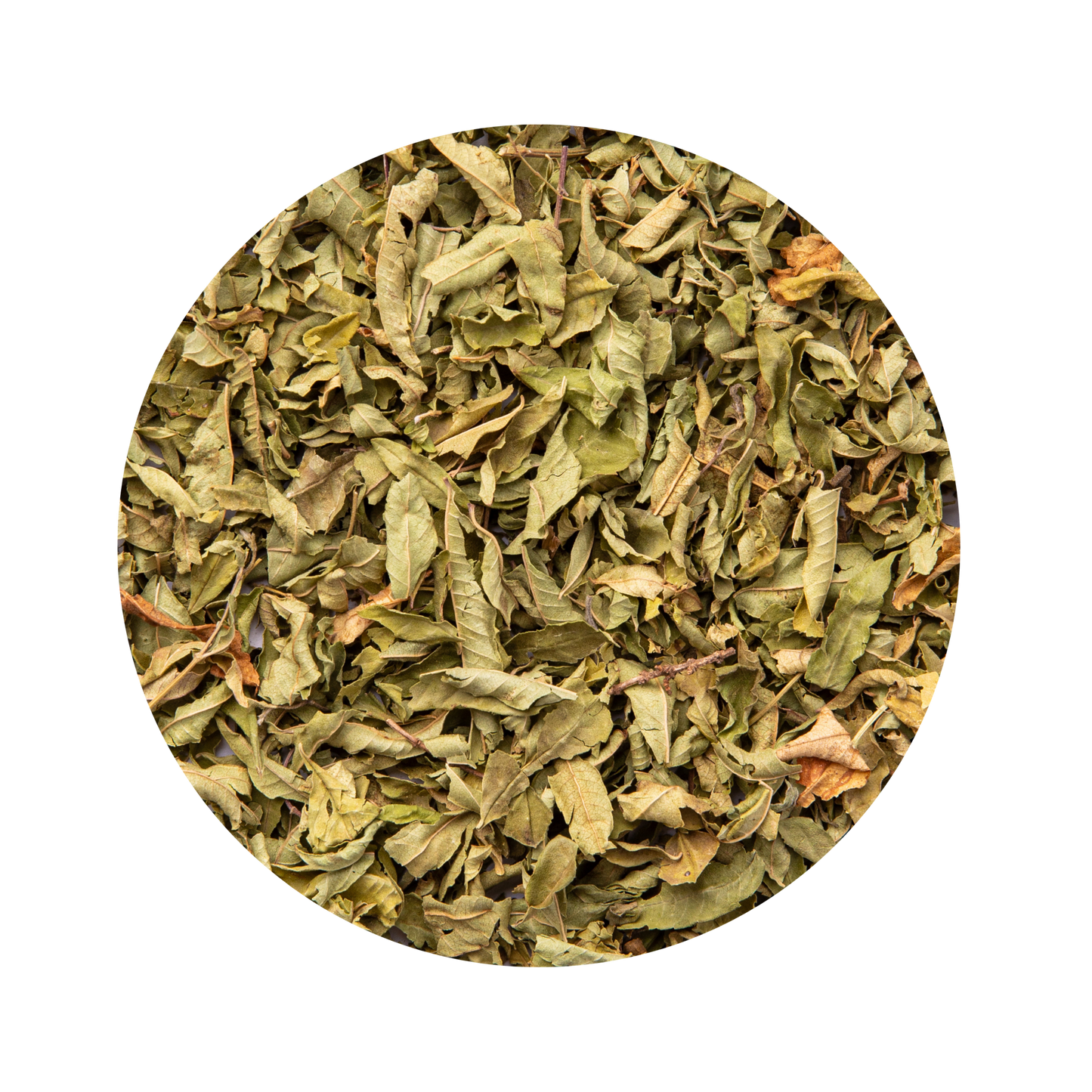 Verveine toujours - Row & Ma Paris